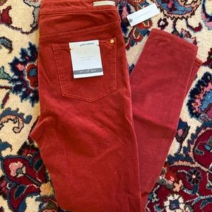 NWT Anthropologie Skinny Cords
